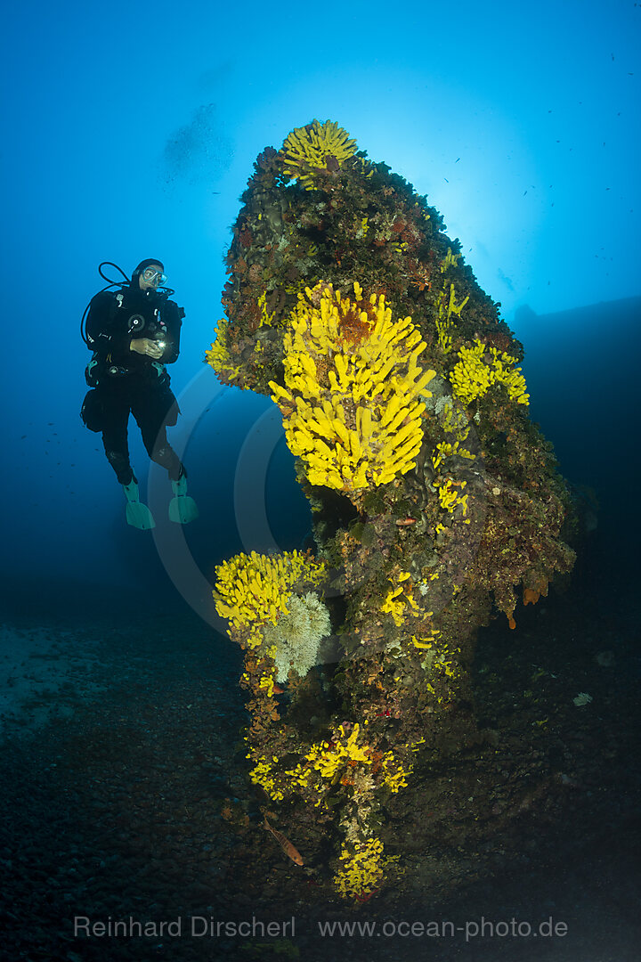 Scuba Diver at Vassilios Wreck, Vis Island, Mediterranean Sea, Croatia