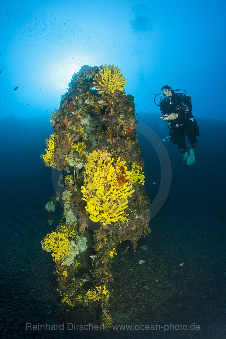 Scuba Diver at Vassilios Wreck, Vis Island, Mediterranean Sea, Croatia