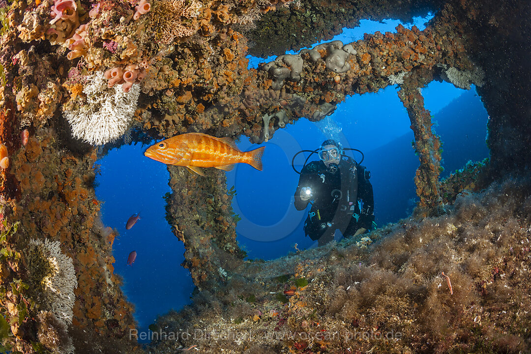 Taucher am Vassilios Wrack, Insel Vis, Mittelmeer, Kroatien