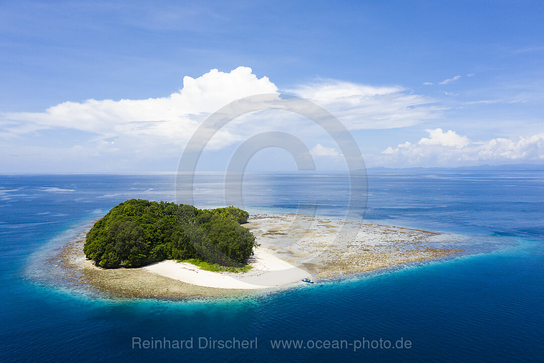 Tropische Insel in der Dampier Strait, Raja Ampat, West Papua, Indonesien