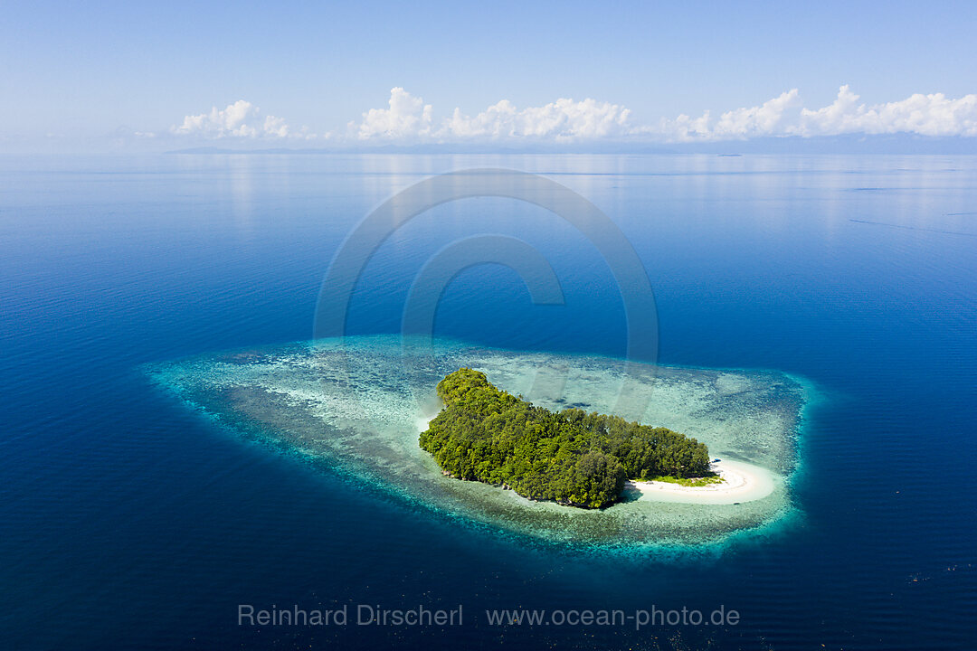 Tropische Insel in der Dampier Strait, Raja Ampat, West Papua, Indonesien