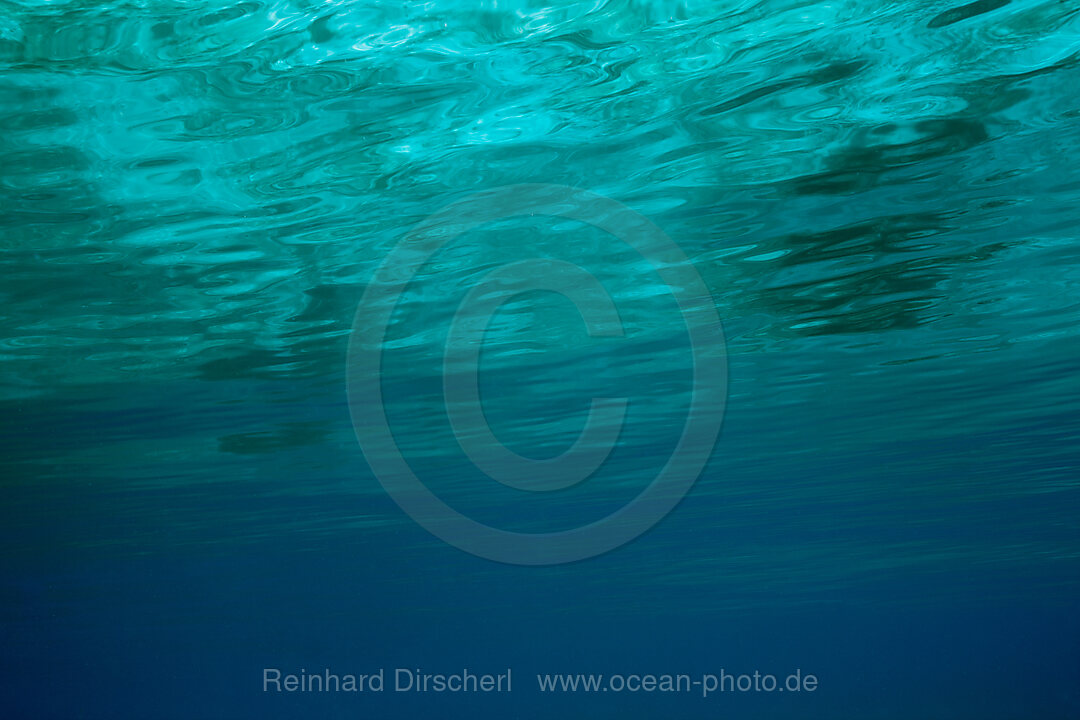 Water surface from underwater, Raja Ampat, West Papua, Indonesia