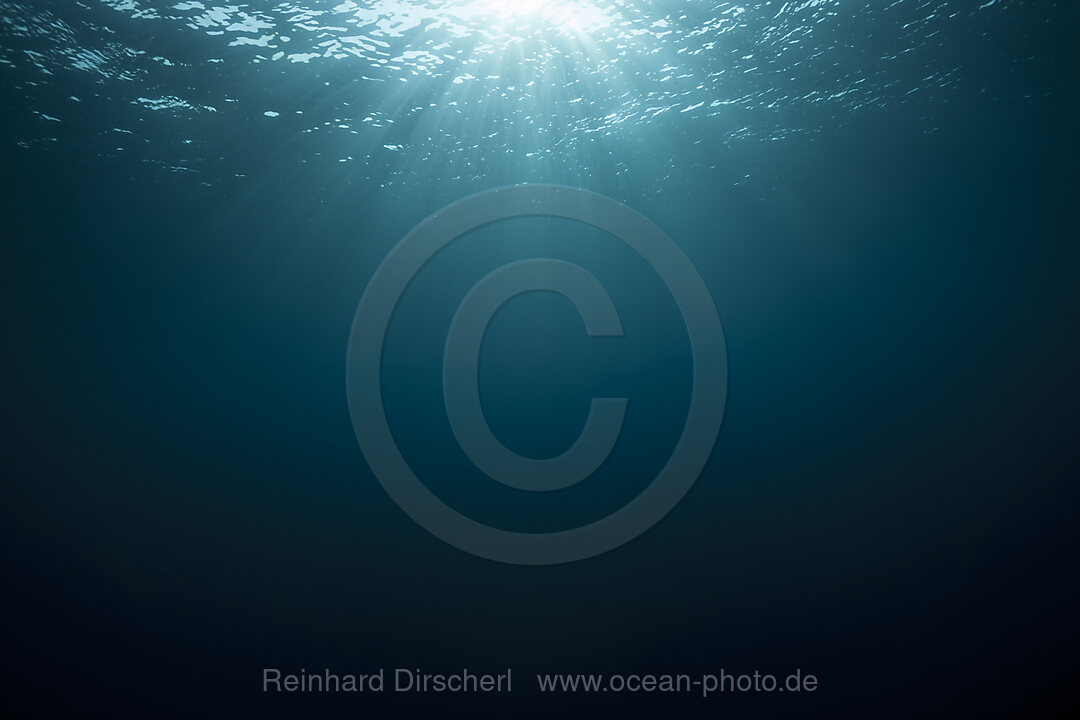 View to Water Surface, North Male Atoll, Indian Ocean, Maldives