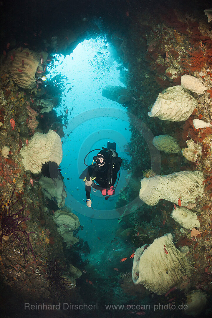 Taucher und Korallenriff, Forgotten Islands, Indonesien