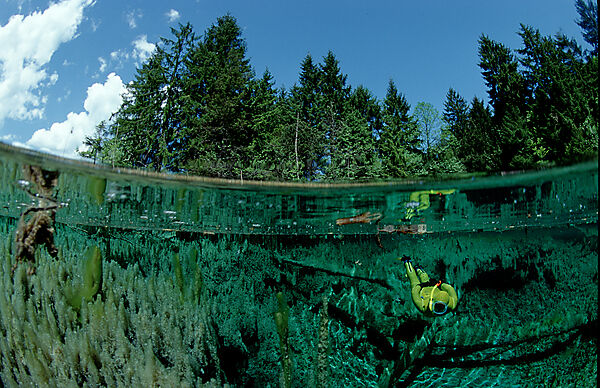 Suesswasserquelle