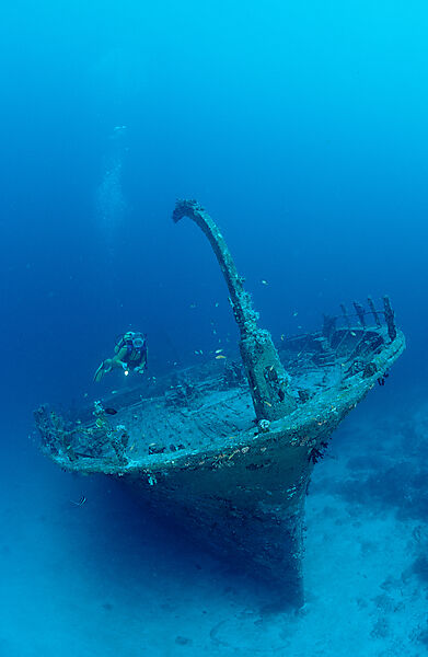 Shipwreck and scuba diver