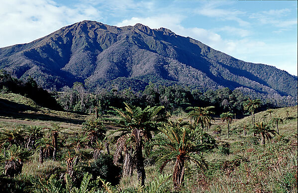 Mount Kerawa