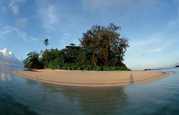 Tropical Island of Papua New Guinea, Lissenung