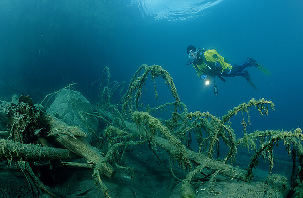 Scuba Diver in a mountain lake