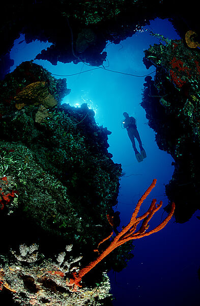 Scuba Diver and Coral Reef