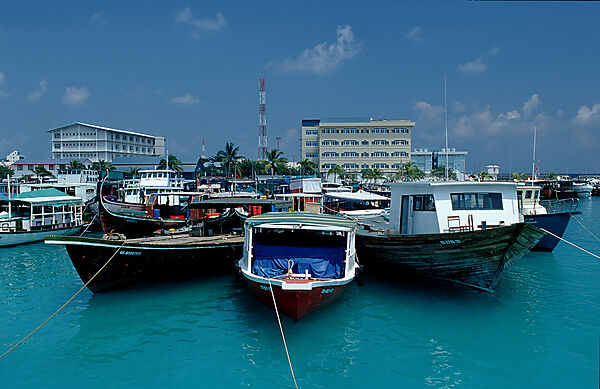 Fishing boats in the harbour of Male, Dhoni