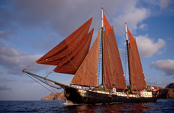 Segelschiff Adelaar