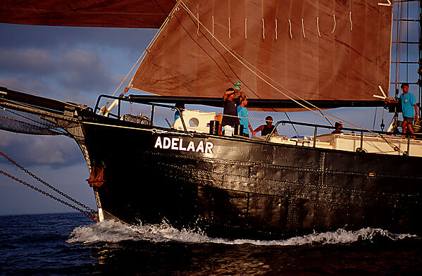 Segelschiff Adelaar - Bug