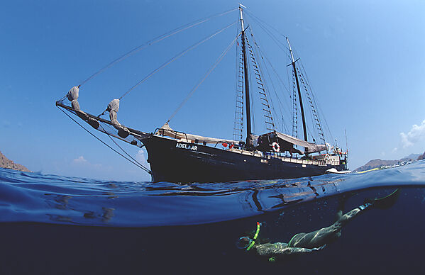 Sailing Ship, Tall Ship Adelaar and Scin Diver, Split Image