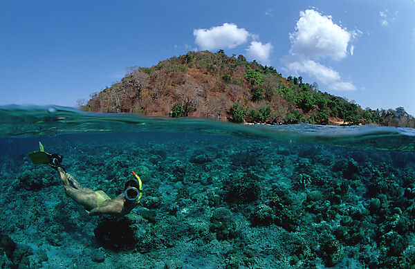 Skin Diving near Komodo, Skin diver
