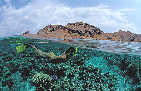 Skin Diving near Komodo, Skin diver