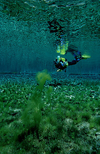 Scuba diver in mountain lake