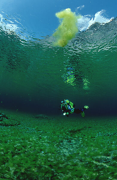 Scuba Diver in a mountain lake