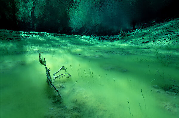 Gebirgs-Quelle, Gebirgssee