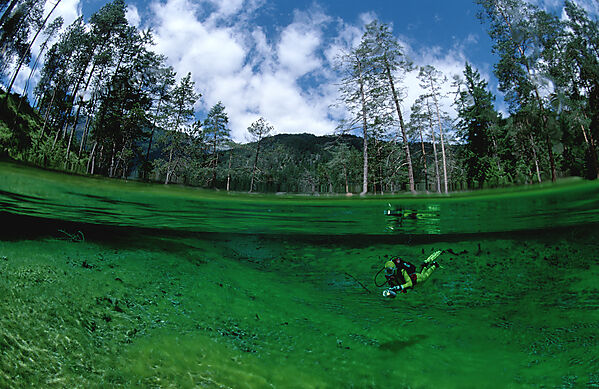 spring, mountain spring, mountain lake, scuba diver, split image