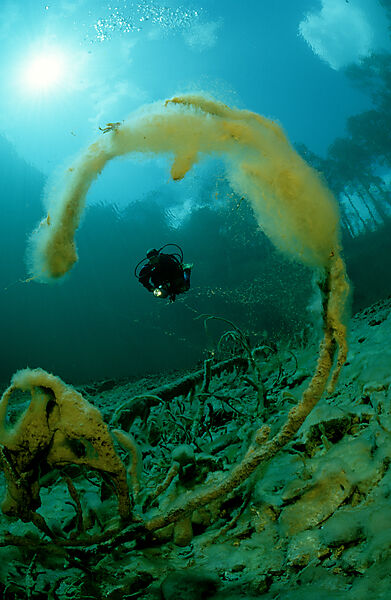 spring, mountain spring, mountain lake, scuba diver
