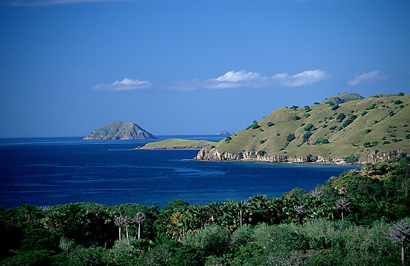 Bucht vor Komodo