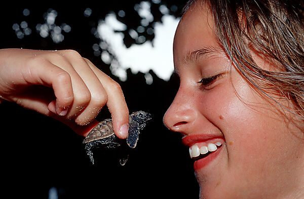 Child holds Baby Green sea turtle, green turtle