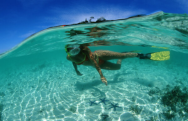 Skindiving, Skin diver, split image