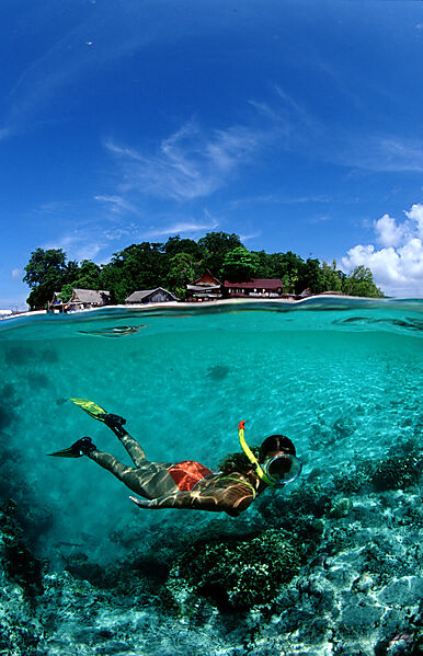 Skindiving, Skin diver, split image
