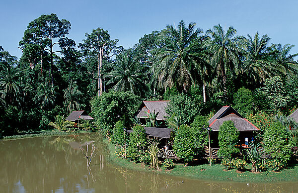 Sepilok Nature Resort