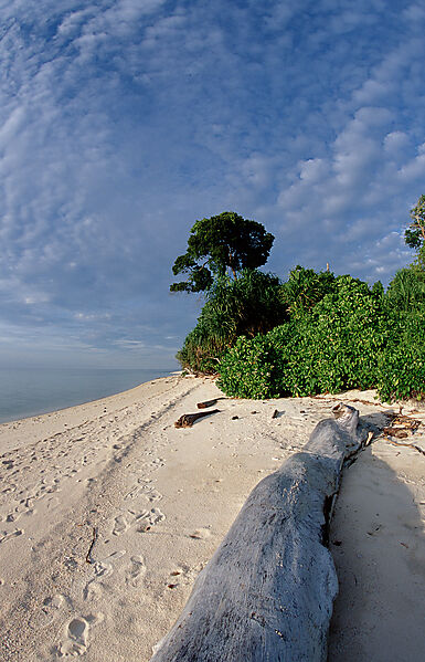 Strand der Insel Lankayan