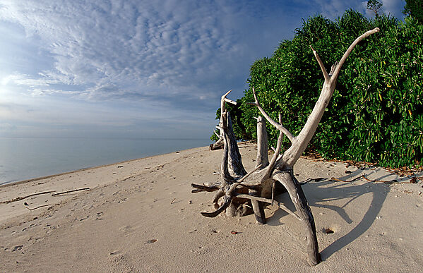 Strand der Insel Lankayan