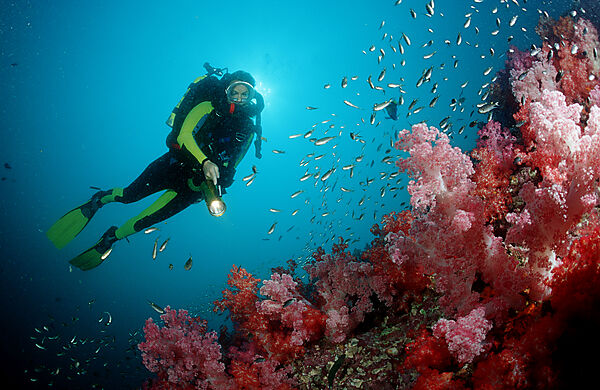 Coral reef and scuba diver with rebreather