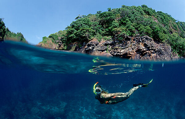 Scin diver, Scin diving