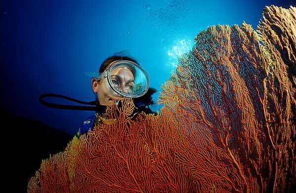 Scuba diver and coral reef