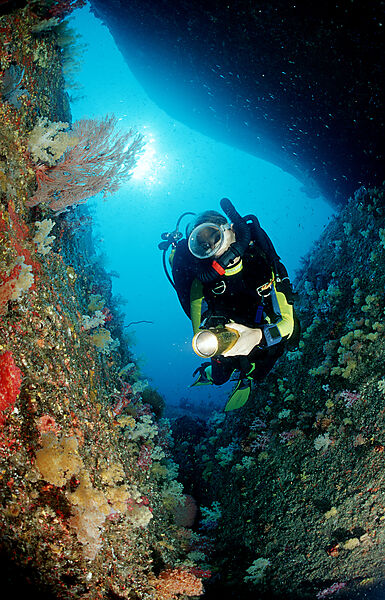 Scuba diver and coral reef