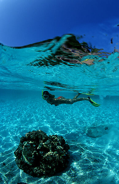 Snorkeling near a tropical island