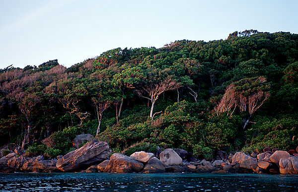 Similan Islands, Similans