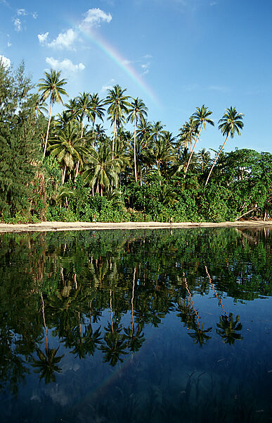 Insel mit Kokospalmen
