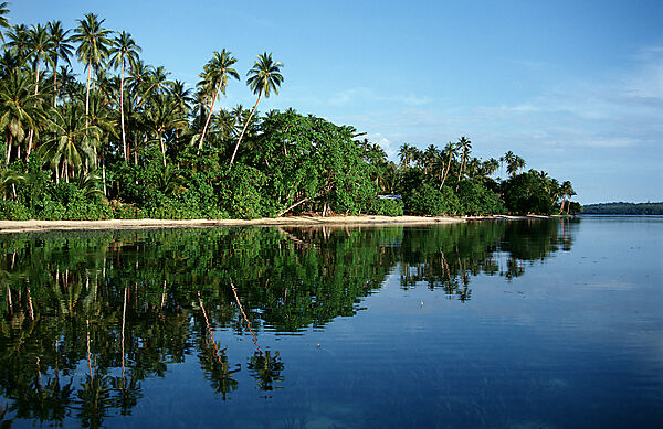 Insel mit Kokospalmen