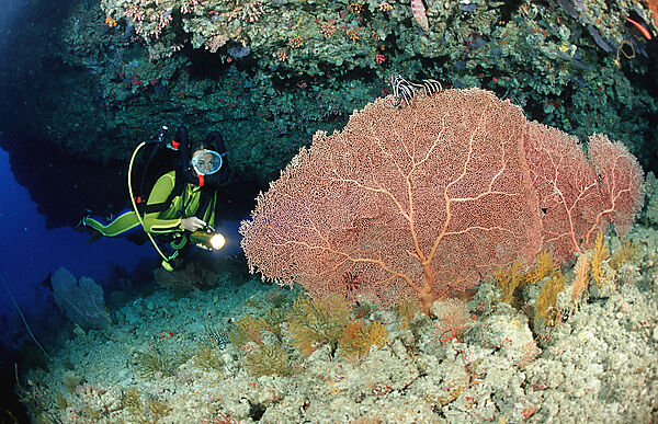Tauchen mit Kreislaufgeraet, Rebreather
