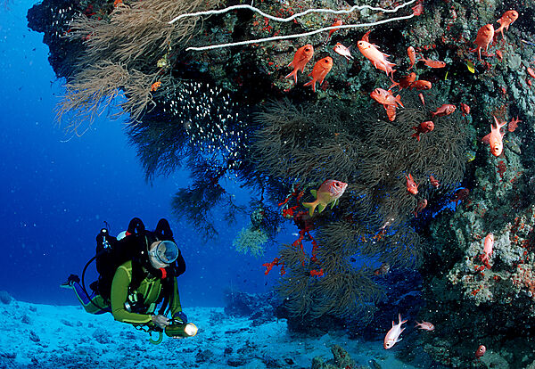 Tauchen mit Kreislaufgeraet, Rebreather