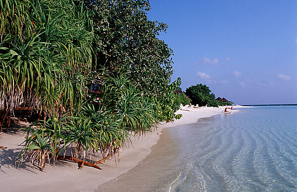 Malediveninsel Strand