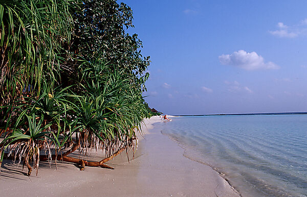 Malediveninsel Strand