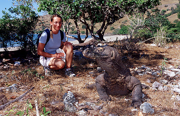 Komodo Waran, Komodo-Waran und Frau
