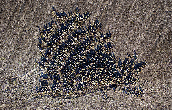 Sand formation, made by Sand bubbler