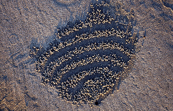 Sand formation, made by Sand bubbler
