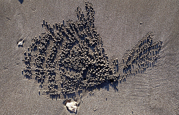 Sand formation, made by Sand bubbler