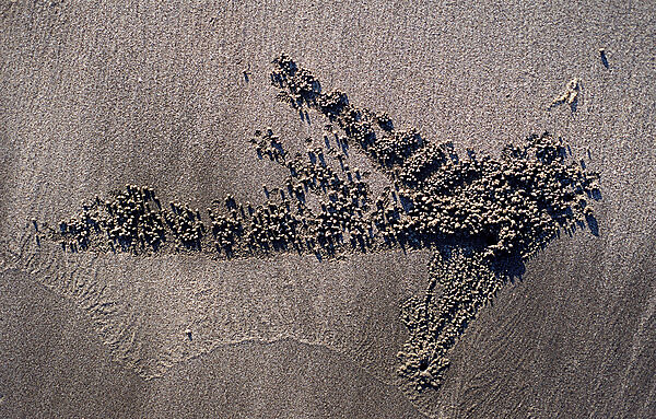 Sand formation, made by Sand bubbler