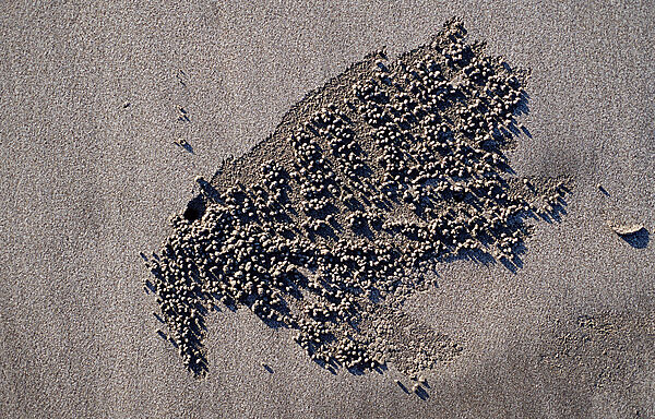 Sand formation, made by Sand bubbler